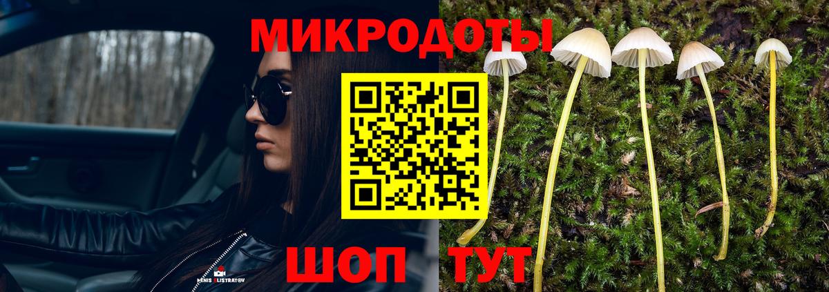 Галлюциногенные грибы Psilocybine cubensis  Вход с VPN  где найти   Изобильный  Псилоцибиновые грибы мухоморы 